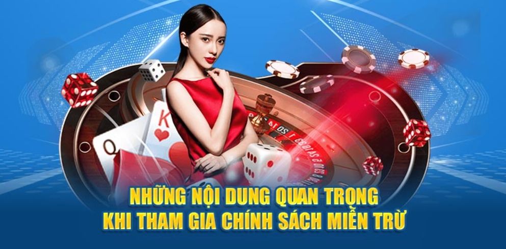 Phạm vi trách nhiệm của Ko66 – Những giới hạn cần lưu ý